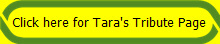 Click here for Tara's Tribute Page
