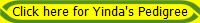 Click here for Yinda's Pedigree