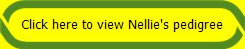 Click here to view Nellie's pedigree