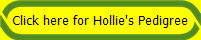Click here for Hollie's Pedigree